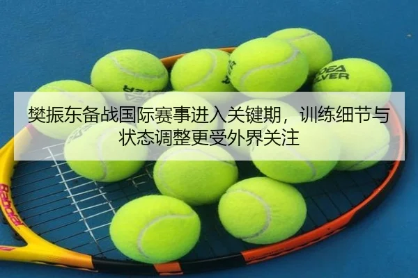 樊振东备战国际赛事进入关键期，训练细节与状态调整更受外界关注