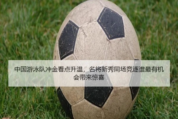 中国游泳队冲金看点升温，名将新秀同场竞逐谁最有机会带来惊喜 - MAIQIU